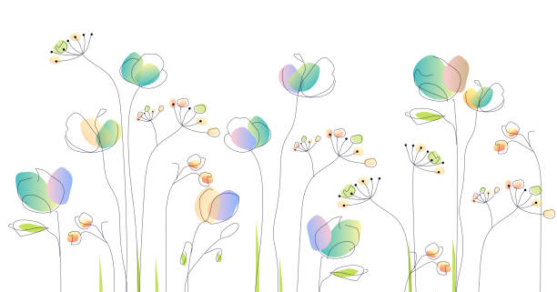 дикие цветы - акварея иллюстрация - акварельная живопись иллюстрации stock illustrations