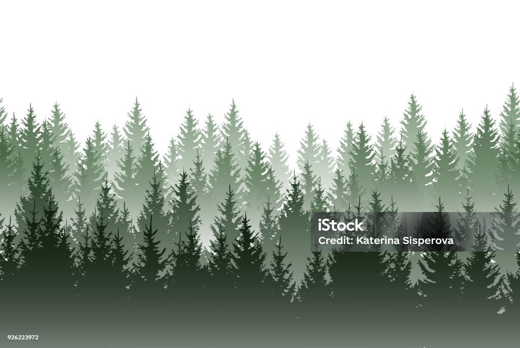 Vector misty green forest isolated on white background Forest stock vector