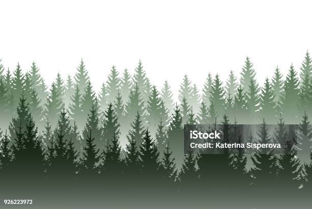 Vector Misty Green Forest Isolated On White Background Stock Illustration - Download Image Now