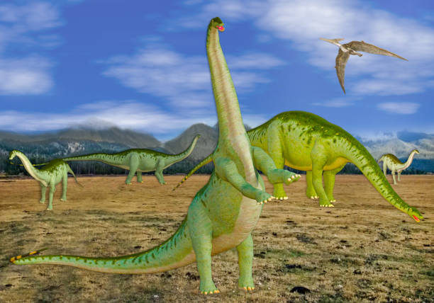istock 3D Image of a Group of Dinosaurs in a Field 926224124