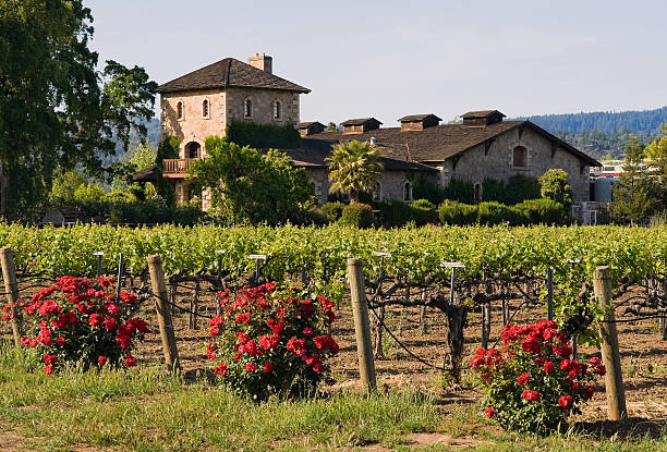 vignobles de la napa valley - house residential structure california mansion photos et images de collection