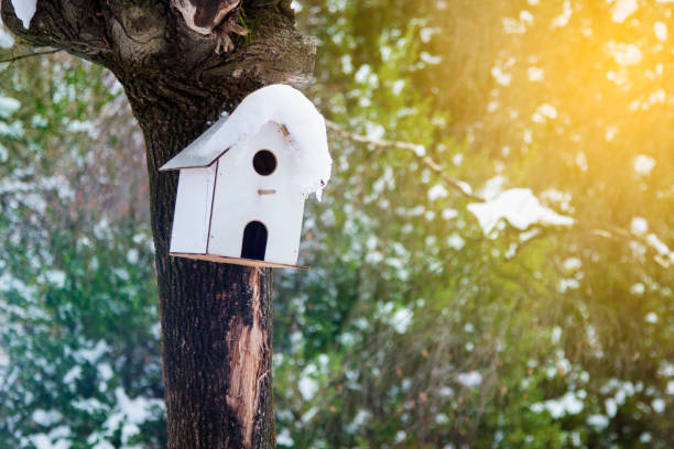 istock Birdhouse in winter 926227954