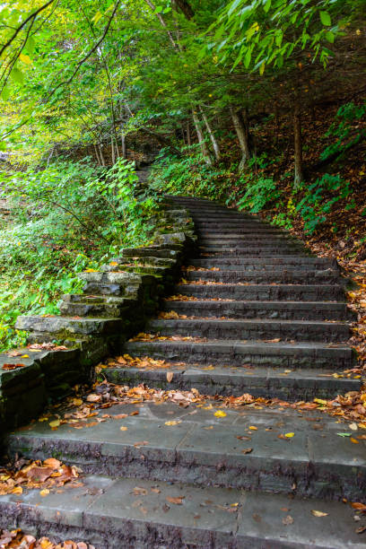 istock Stone stair in forest in Buttermilk Falls State Park 926230584