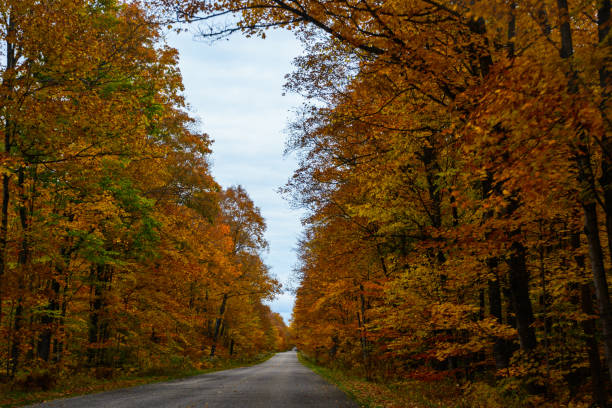 istock Fall road in Pictured Rocks National Lakeshore Munising 926230732