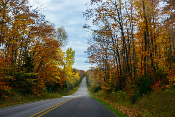 istock Fall road in Pictured Rocks National Lakeshore Munising 926230862