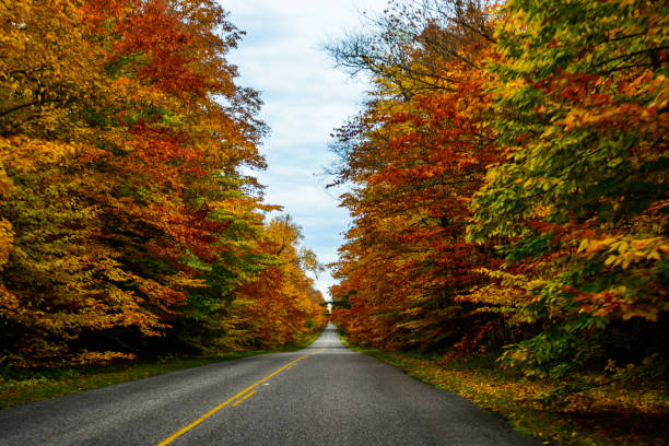 istock Fall road in Pictured Rocks National Lakeshore Munising 926230886