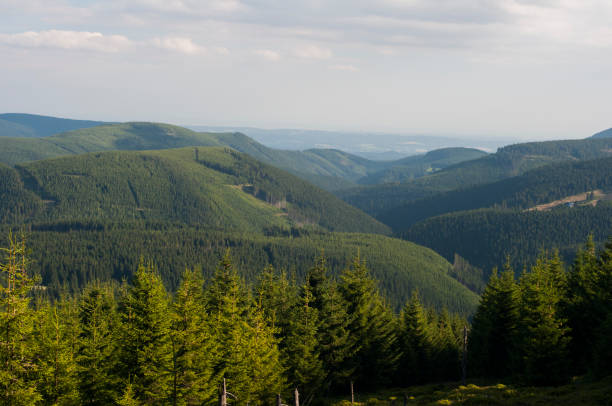 mountains in poland - karkonosze - ridge mountain wilderness area poland imagens e fotografias de stock