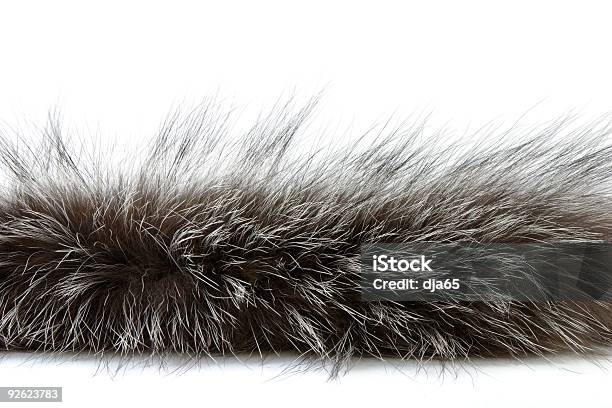 Fur Background Stock Photo - Download Image Now - Animal Hair, Fur, White  Color - iStock