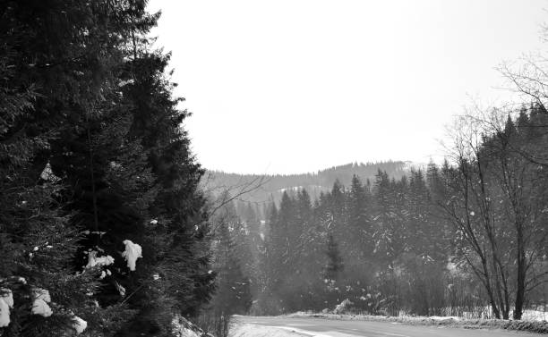 istock Karpaty Mountain Ukraine 926242382