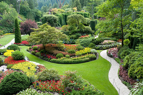 jardins de butchart - buchart gardens photos et images de collection