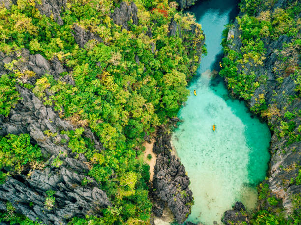 vista aérea de la hermosa laguna con kayaks - philippines fotografías e imágenes de stock