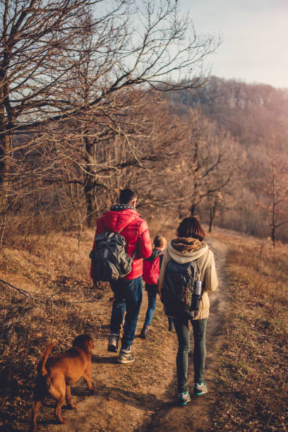 istock Family hiking at mountain with dog 926254704