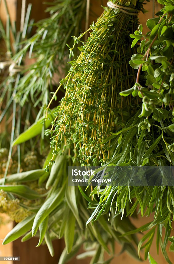 Suspendus pour sécher des herbes fraîches - Photo de Couleur verte libre de droits