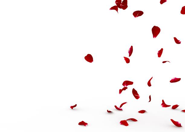 istock Rose petals fall to the floor 926263864