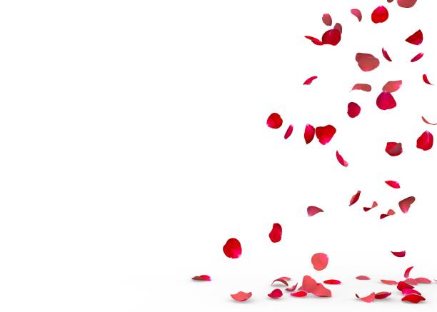 istock Rose petals fall to the floor 926263960