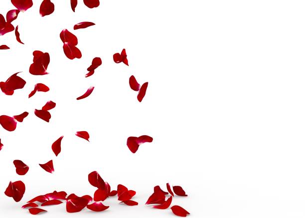 istock Rose petals fall to the floor 926264588