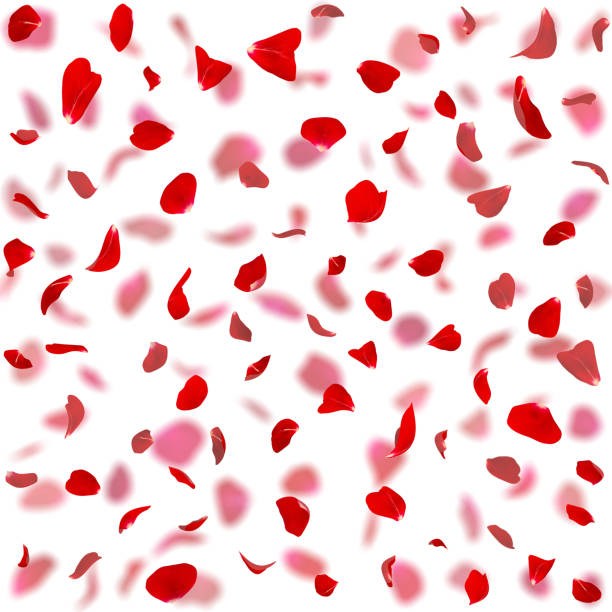 istock Seamless texture of red rose petals 926265176