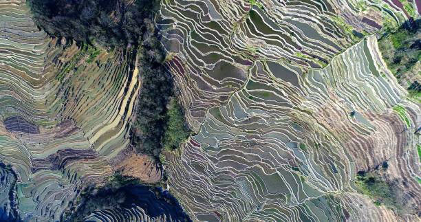 istock Breathtaking view on the Yuanyang Rice Terraces 926268682