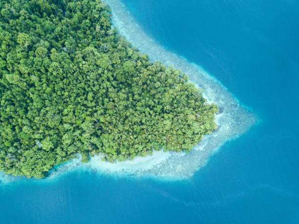 istock Rainforest and Reef Aerial in Raja Ampat 926268726
