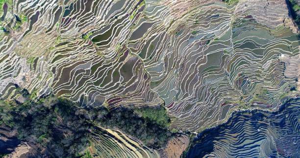 istock Breathtaking view on the Yuanyang Rice Terraces 926271020