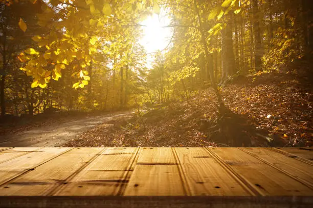 Photo of Empty wooden table on nature background