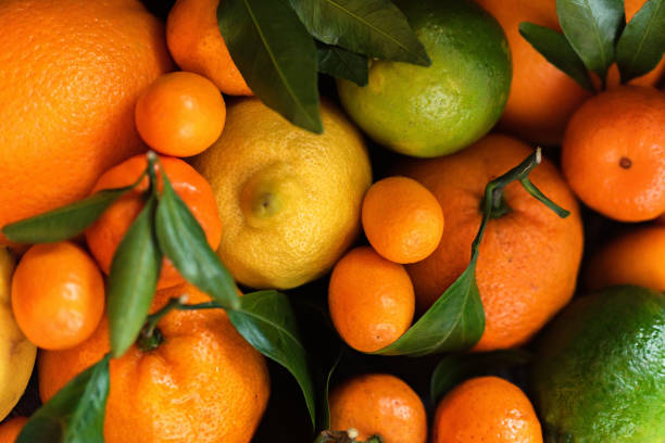 istock Close-up of various citrus fruits 926274766