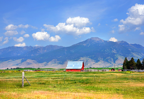 Absaroka Mountains rise up behind this rural farm scene in Paradise Valley, Montana.  Red, wooden barn, field and horses are part of this agricultural scene.