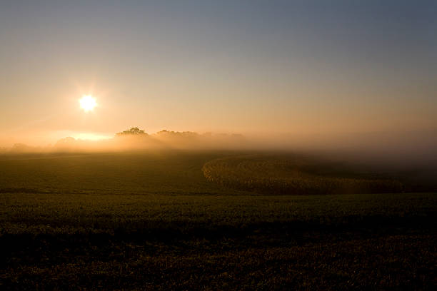istock Farm Field at Dawn - Adobe RGB 1998 92627924