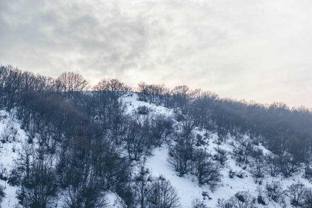 istock beautiful winter forest at sunset 926282328