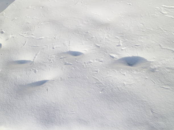 istock snow sparkling in the sun 926294700