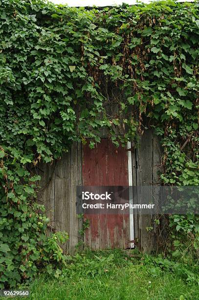 The Door Stock Photo - Download Image Now - Color Image, Door, Grape