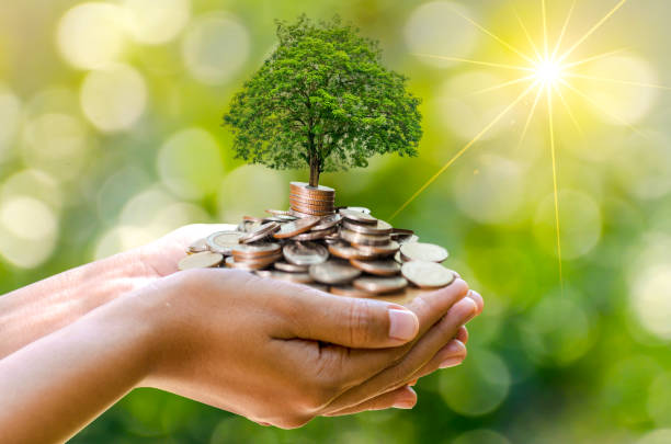 手のコインの木 木は山の上に育つ。将来のためにお金を節約します。投資のアイデアとビジネスの成長。ボケの太陽と緑の背景 - tree men nature human hand ストックフォトと画像