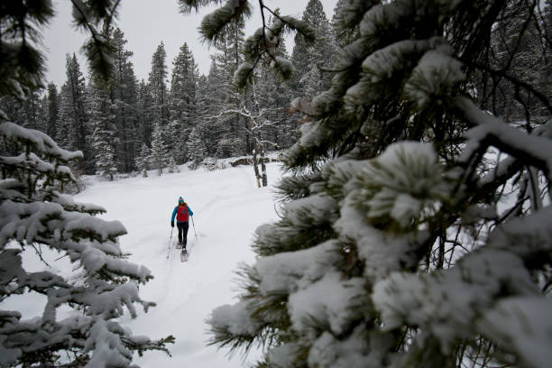 istock Winter Snowshoe Snowstorm Adventure 926307372