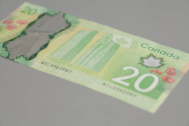 istock Canadian twenty dollars on gray background 926307828