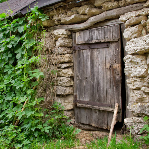 istock door and hop 926309284