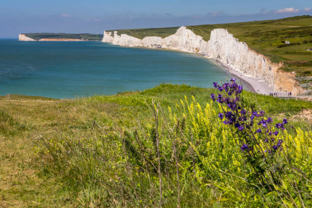 istock Seven Sisters Cliffs in Sussex, UK 926315884