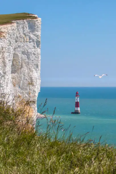 A view of the Beachy Head chalk headland in East Sussex, UK.