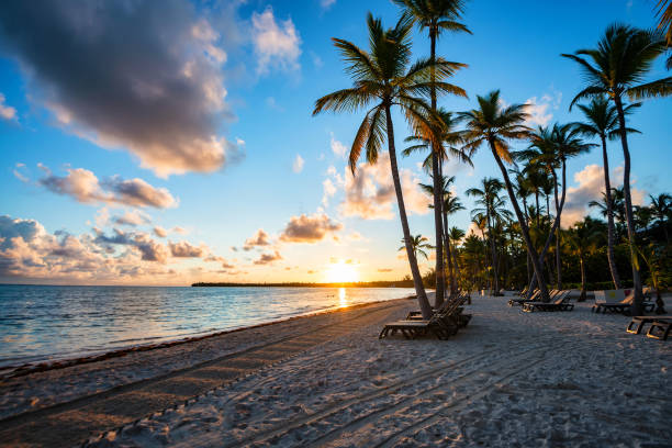 istock Tropical beach with palm trees and ocean 926321000