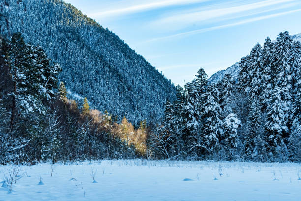istock Winter mountain landscape with rocks and snow 926321486