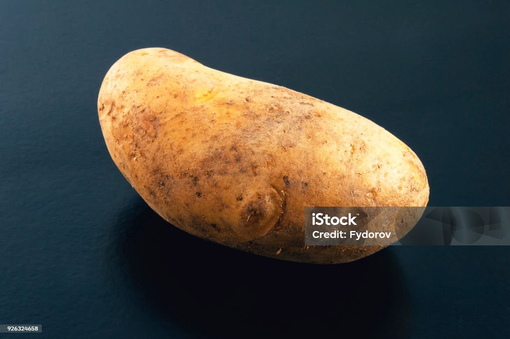 Single raw potato on a blue background. Raw Potato Stock Photo