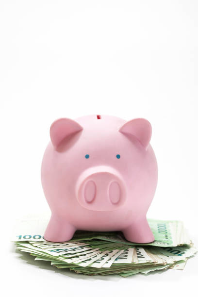 miser sur un tas d’argent - piggy bank currency savings finance photos et images de collection