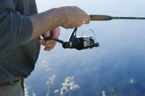 Angler catches fish for spinning. Pulls the fishing line with a spinning-wheel.