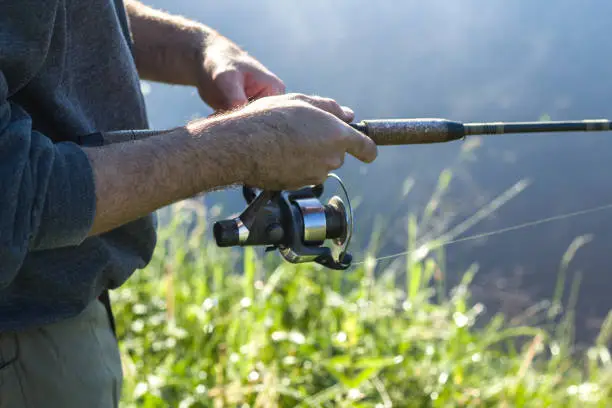 Angler catches fish for spinning. Pulls the fishing line with a spinning-wheel.