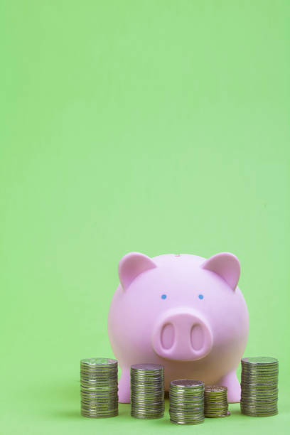 istock Pile and saving coins at piggy bank on a green 926325084