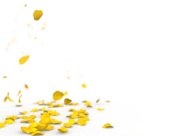 istock Yellow rose petals fall to the floor 926329432