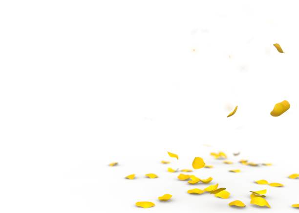 istock Yellow rose petals fall to the floor 926329496
