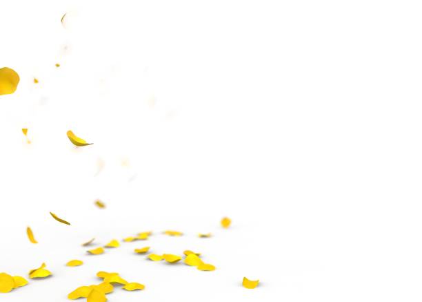 istock Yellow rose petals fall to the floor 926331734