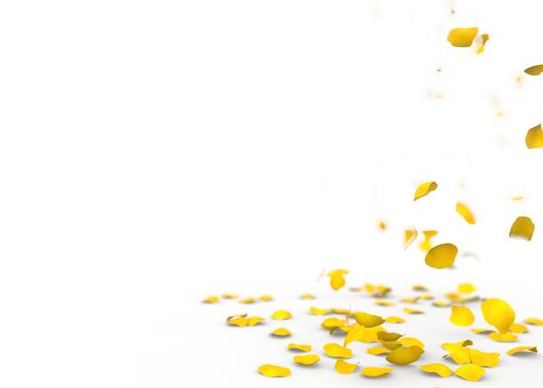 istock Yellow rose petals fall to the floor 926332936