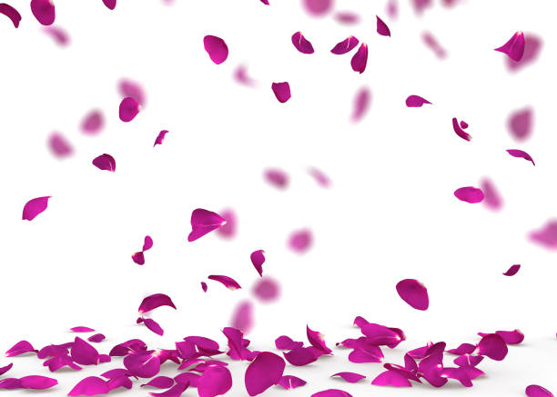 Abstract colorful tulip petals flowers ultraviolet neon toned. Macro frame. Summer flower card.