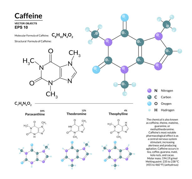 ilustraciones, imágenes clip art, dibujos animados e iconos de stock de fórmula molecular estructural y modelo de la cafeína. átomos se representan como esferas con codificación aislado sobre fondo de color. visualización 2d o 3d y fórmula esquelético - hydrogen bond